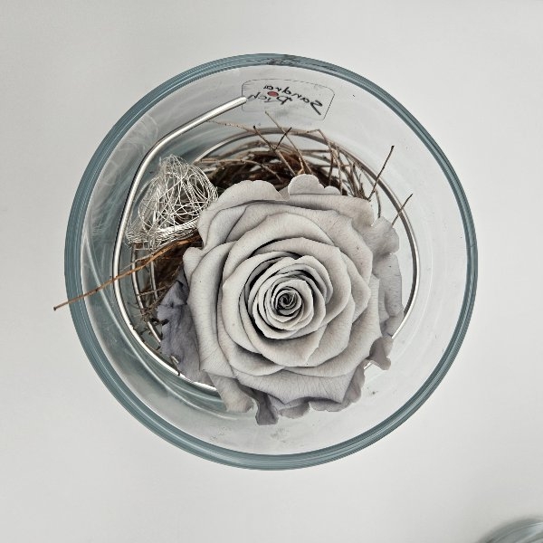 Infinity Rosen im Glas Bild 5