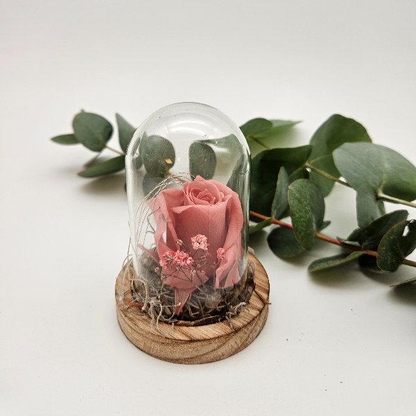 Schneewittchen Rose (klein) Bild 2